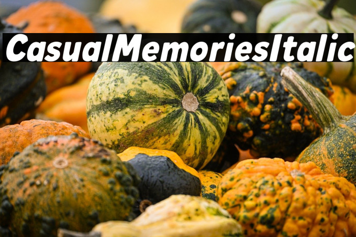 Casual Memories Italic Example 2