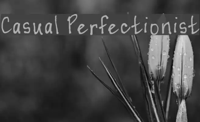 Casual Perfectionist Font examples