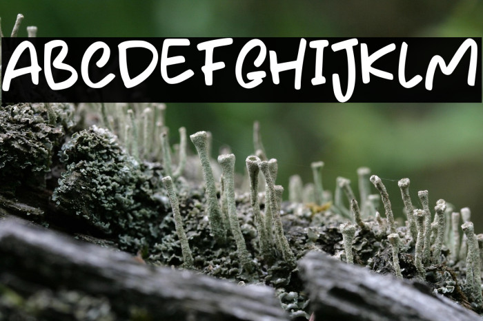 Casual Sketchy Example 3