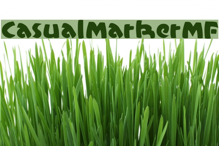 CasualMarkerMF Font examples