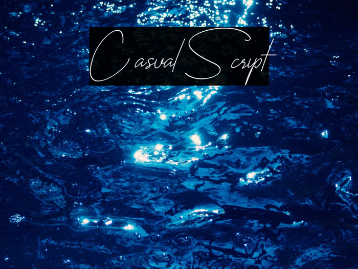 CasualScript Example 1