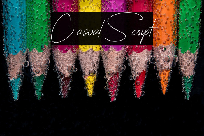 CasualScript Example 2