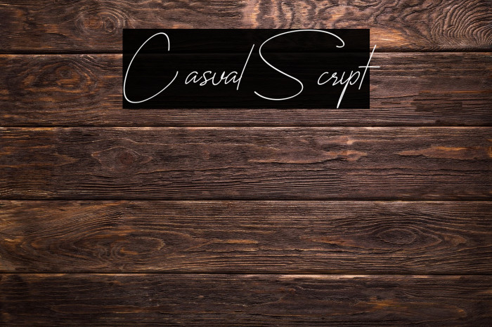 CasualScript Example 3