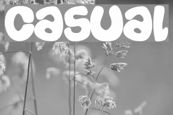 Casual Font examples