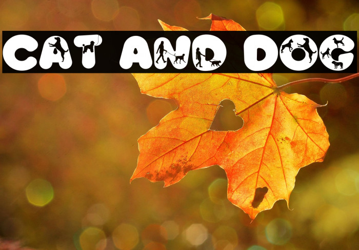 Cat And Dog Example 1