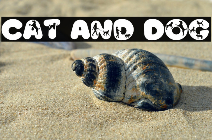 Cat And Dog Example 3