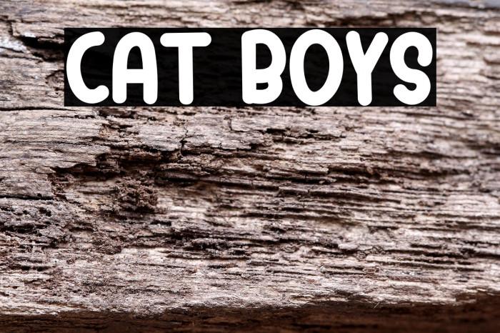 Cat Boys Example 1