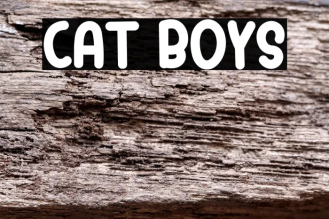 Cat Boys Example 1