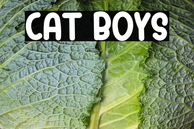 Cat Boys Example 2