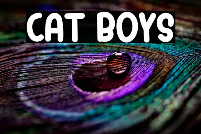 Cat Boys Example 3