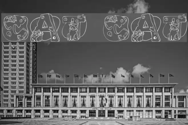 Cat Cat خط examples