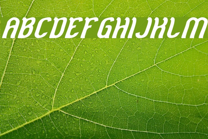 Cat Eyes Bold Italic Font examples