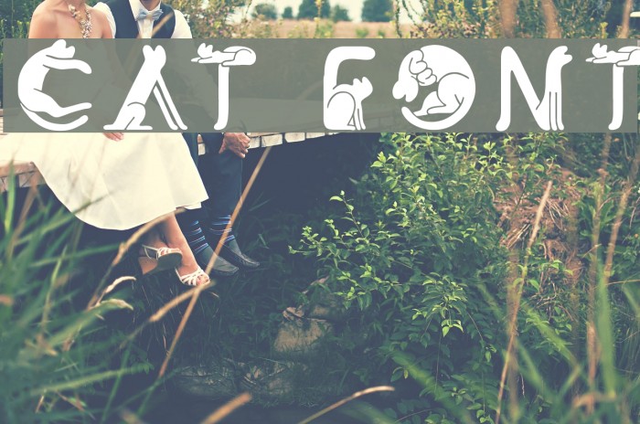 Cat Font Font examples