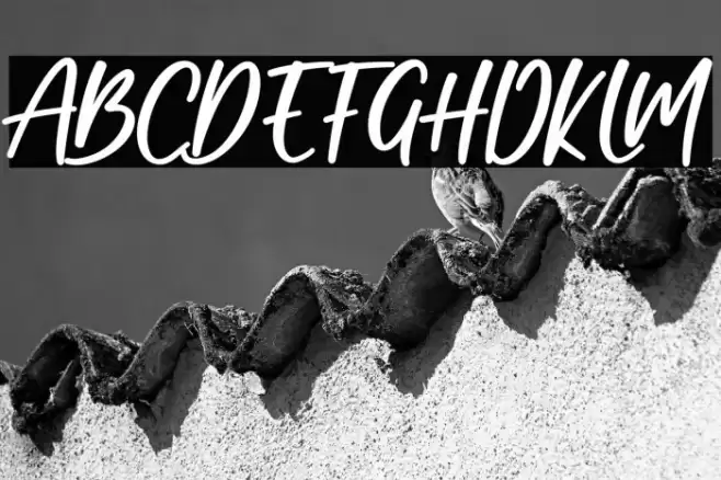 Cat Lady Font examples