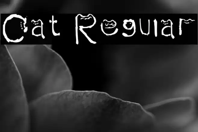 Cat Regular Font examples
