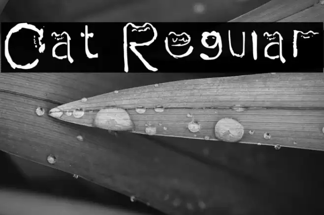 Cat Regular Font examples