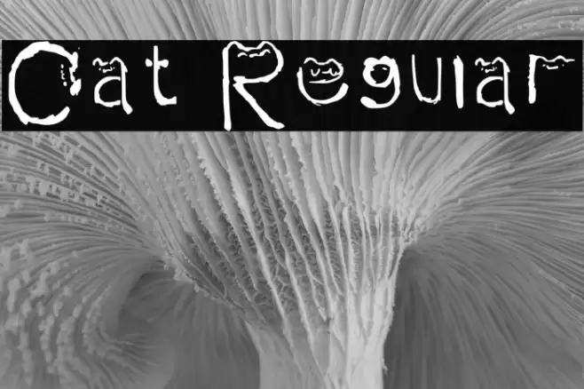 Cat Regular Font examples