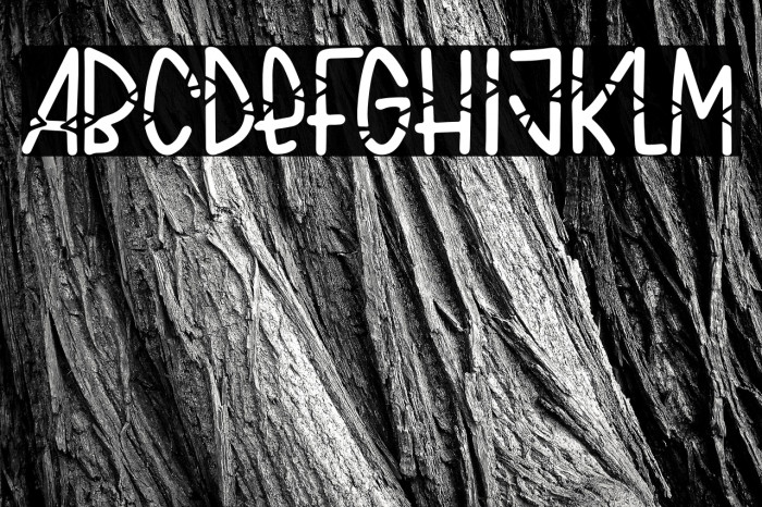 Cat Whiskers Example 3