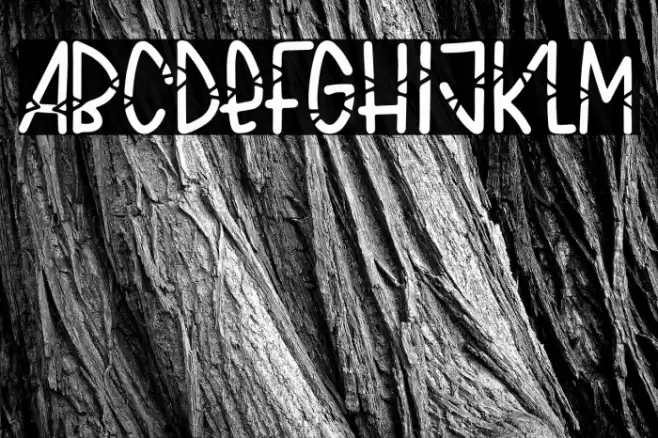 Cat Whiskers Font examples