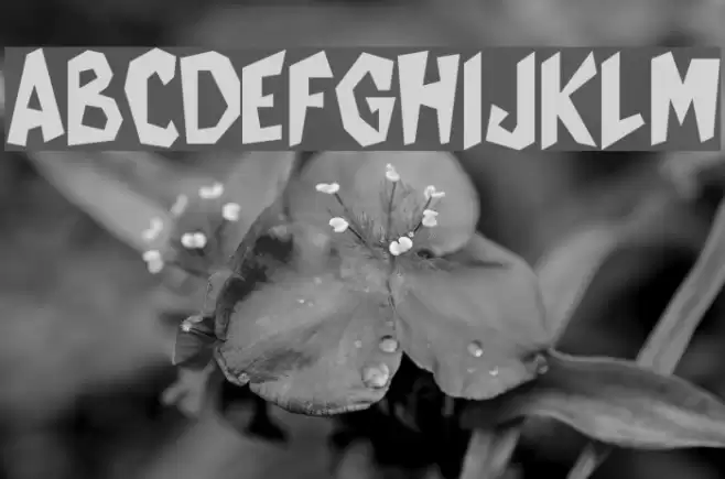 Cat Women Font examples