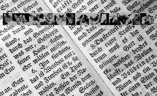 CatBats Font examples