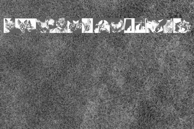 CatBats Font examples