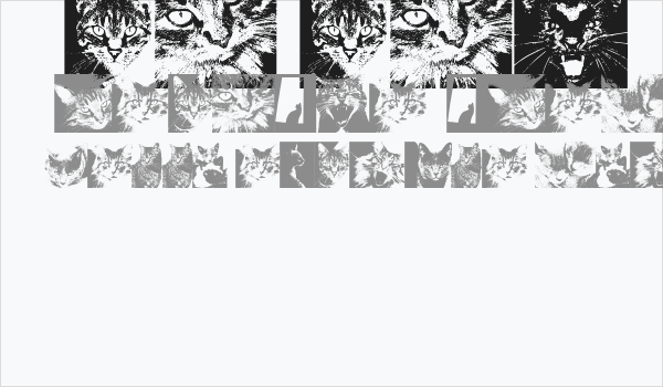 CatBats Business Card