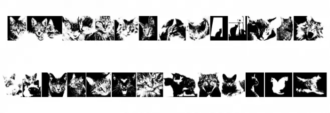 CatBats Fuentes MINÚSCULAS