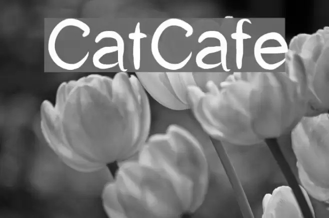 CatCafe Font examples