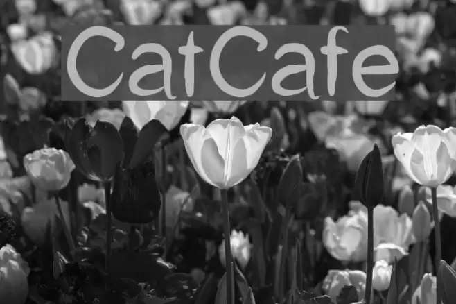 CatCafe Font examples
