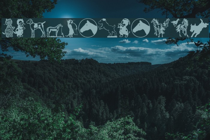 CatDogHorse Example 1