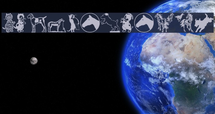 CatDogHorse Example 2