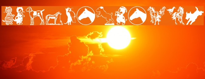 CatDogHorse Example 3