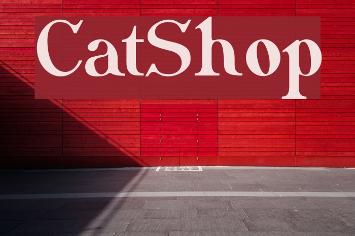 CatShop Font examples