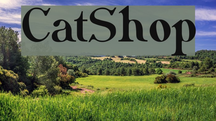CatShop Font examples