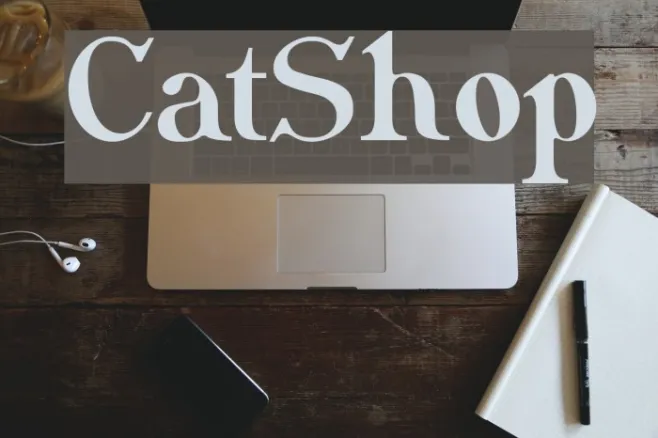 CatShop Example 3