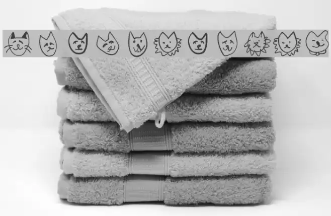 CatSketches Font examples