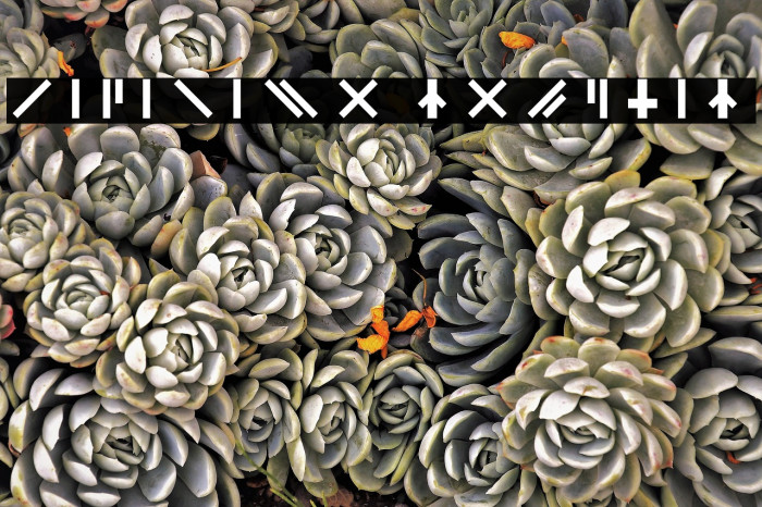 Catabase Regular Font examples