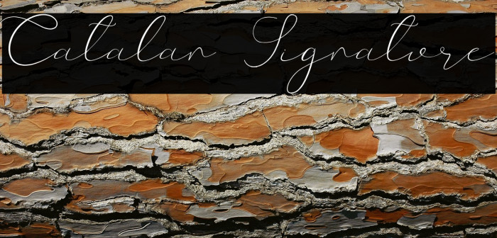 Catalan Signature Example 2