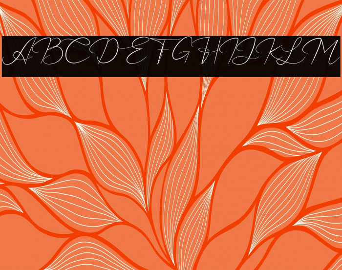 CatalanSignature Example 3