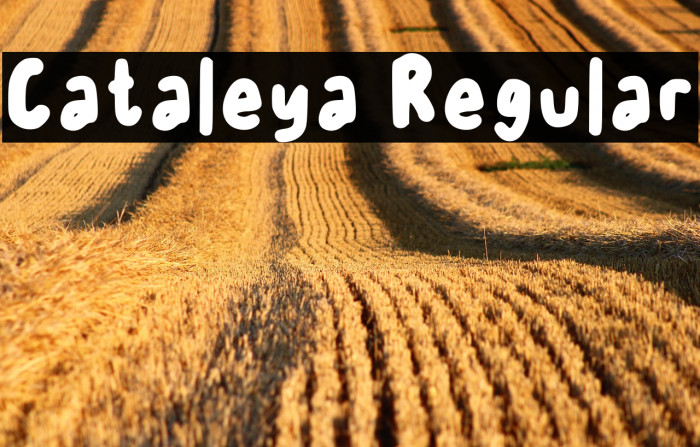 Cataleya Regular Example 1