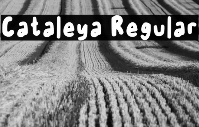 Cataleya Regular Caratteri examples
