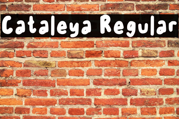 Cataleya Regular Example 2