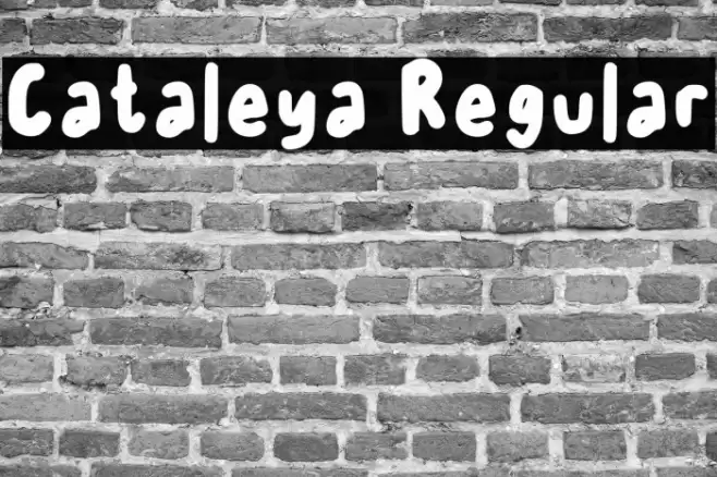Cataleya Regular Caratteri examples