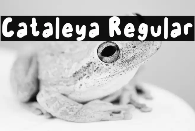 Cataleya Regular Caratteri examples