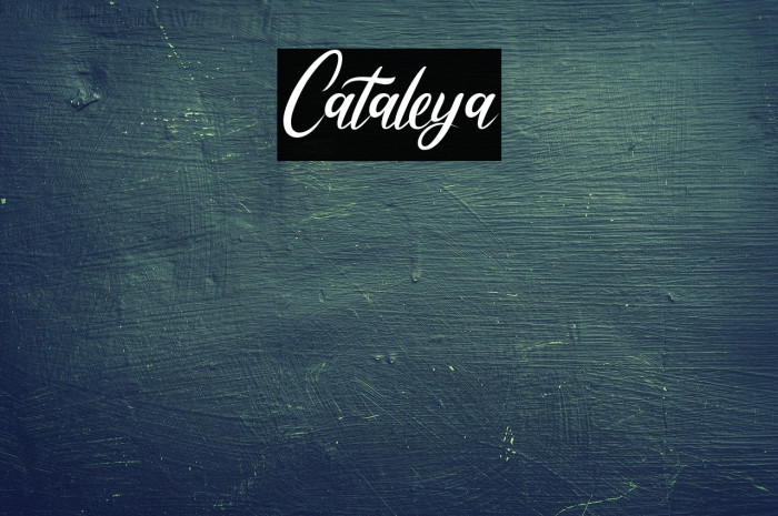 Cataleya Example 1