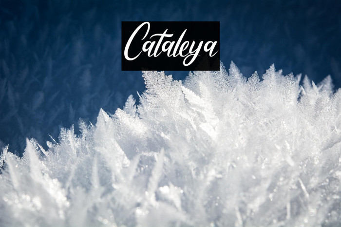 Cataleya Example 2