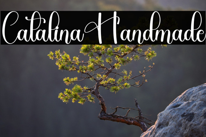 Catalina Handmade Example 1