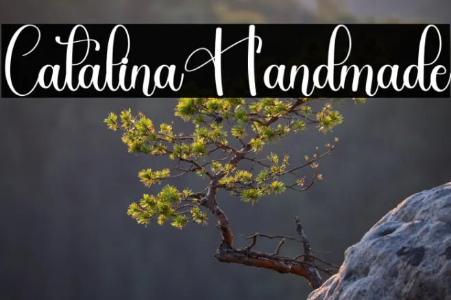 Catalina Handmade Example 1