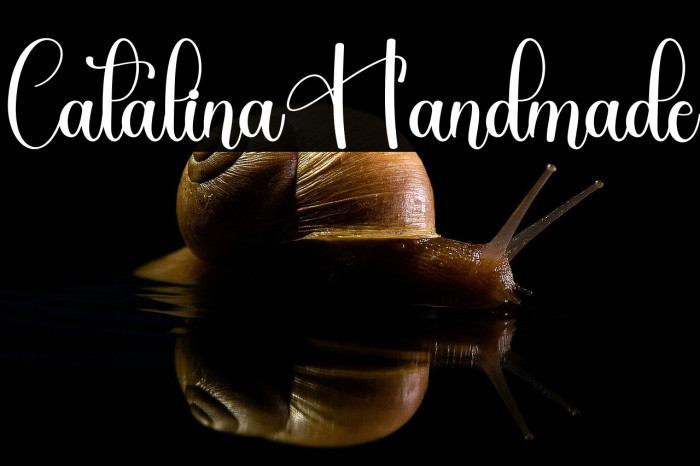 Catalina Handmade Example 2